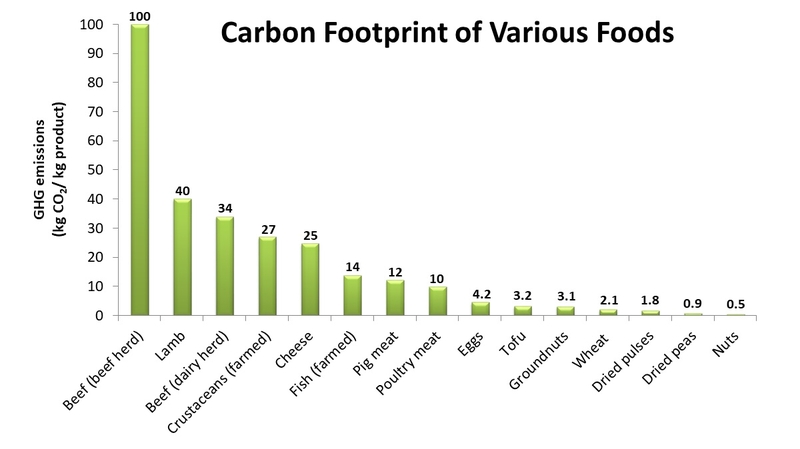 Carbon footprint of various foods