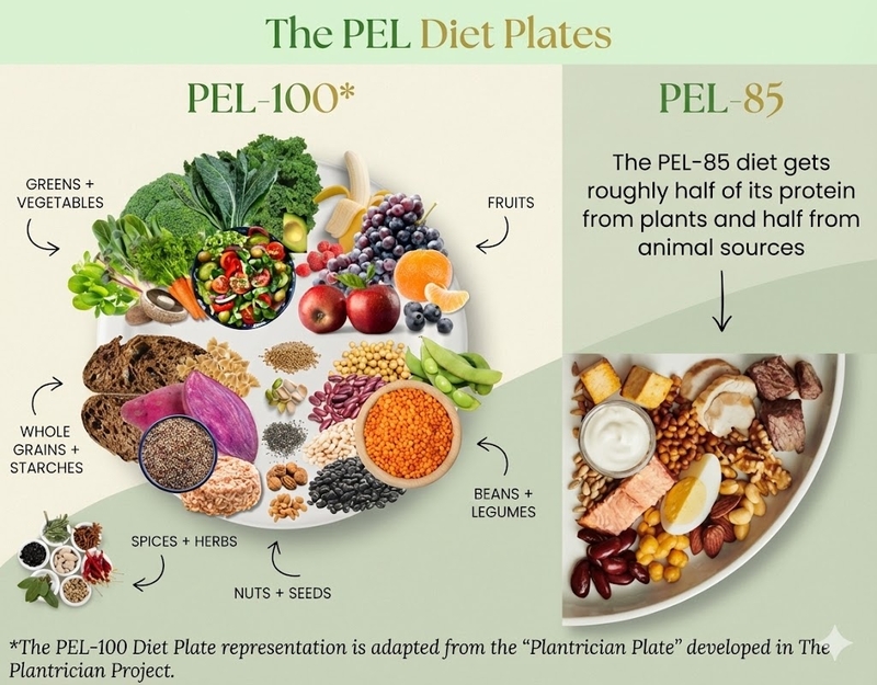 PEL Diet Plate PEL-100 and PEL-85