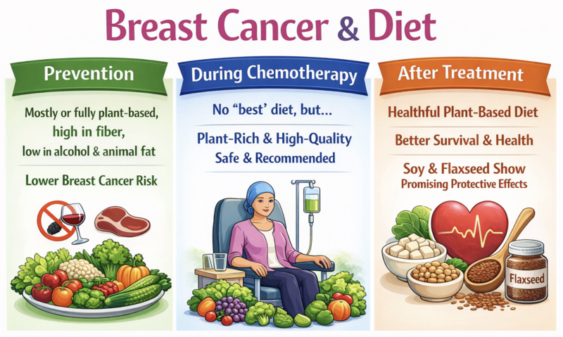 nutritional priorities for different stages of the breast cancer journey- prevention - during treatment - post treatment