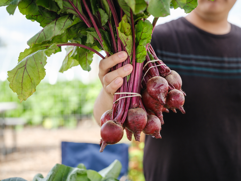 AFMA Beets
