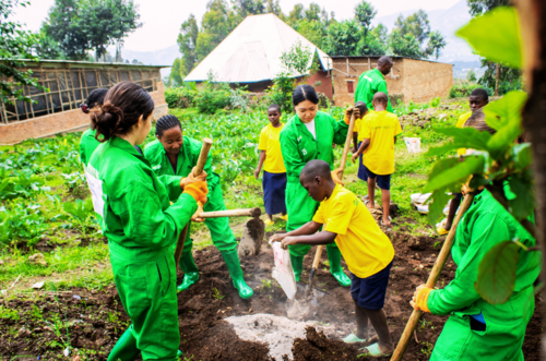 move up global fellows program