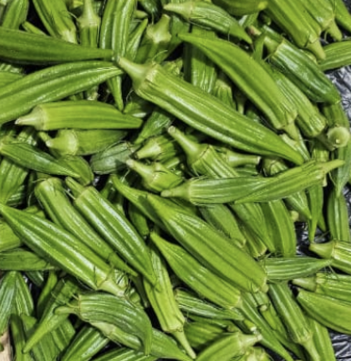 Okra from Liberia Veg Garden