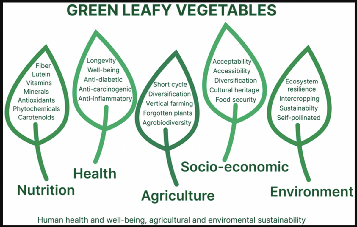 Green Leafy Vegetables graphic with leafs representing Nutrition, Health, Agriculture, Socio-economic and Environment