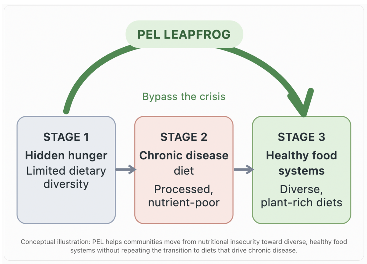 PEL Leapfrog Strategy of diet transitions