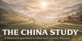  Name The China Study Banner with rural background and sunset