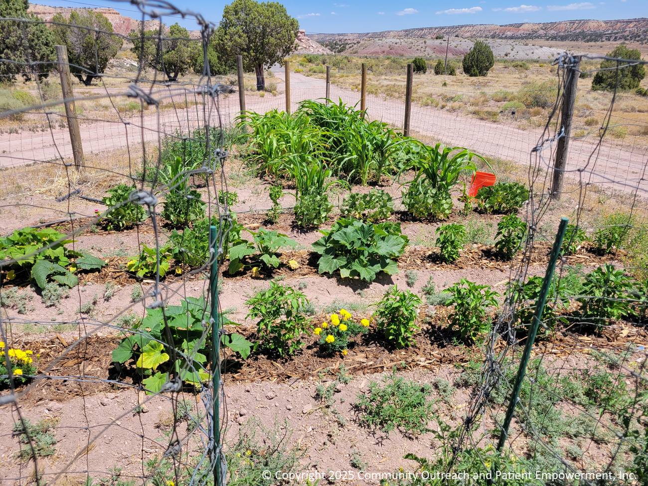 COPE Growers Garden