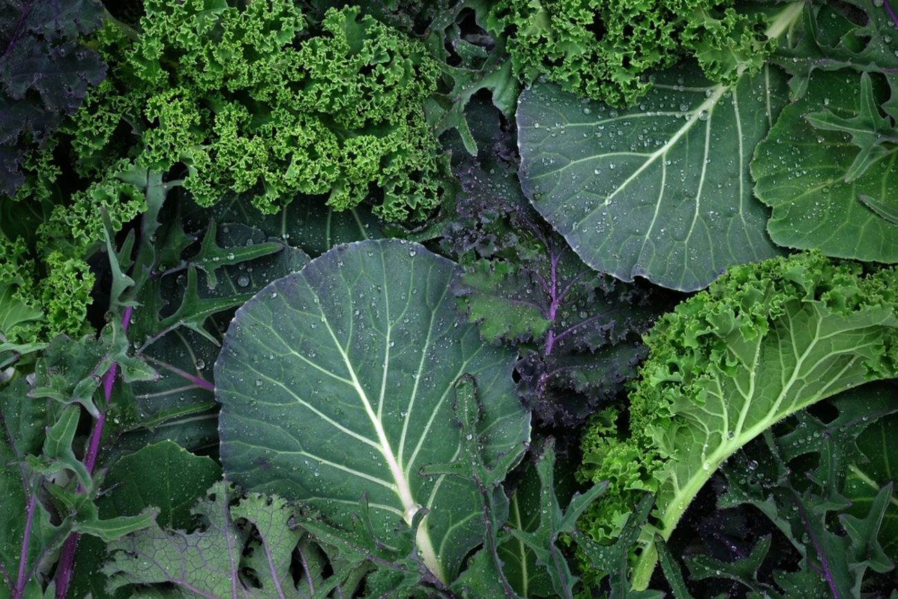 leafy greens