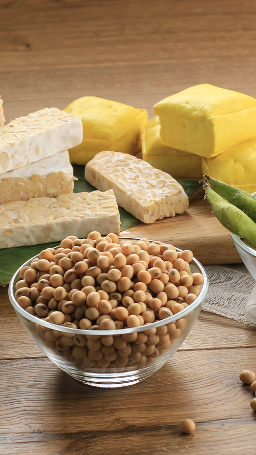 Soy Protein
