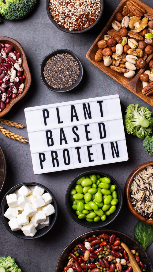 Plant based Protein